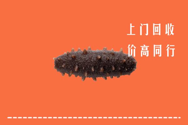 吐鲁番市回收海参