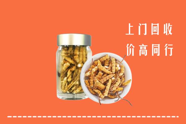 吐鲁番市回收冬虫夏草